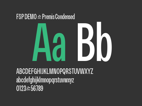 FSP DEMO - Premis Condensed