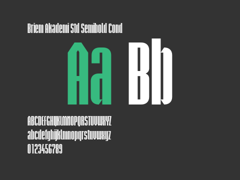 Briem Akademi Std Semibold Cond