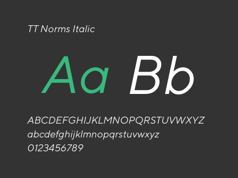 TT Norms Italic