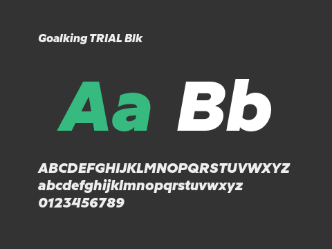 Goalking TRIAL Blk