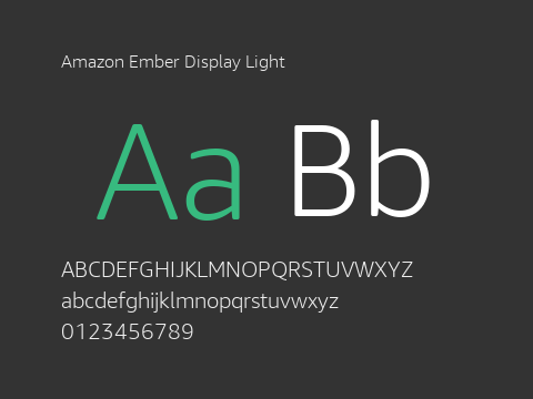 Amazon Ember Display Light