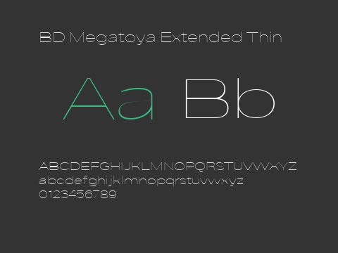 BD Megatoya Extended Thin