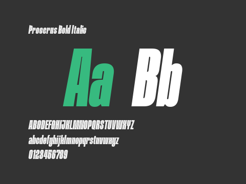 Procerus Bold Italic