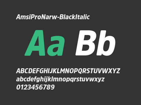 AmsiProNarw-BlackItalic