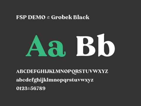 FSP DEMO - Grobek Black