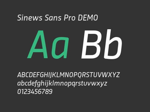 Sinews Sans Pro DEMO