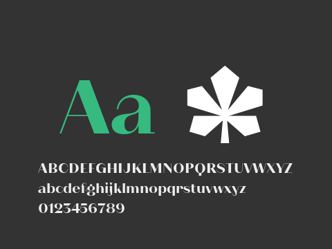 KyivType Sans Heavy3