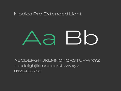 Modica Pro Extended Light