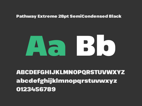 Pathway Extreme 28pt SemiCondensed Black