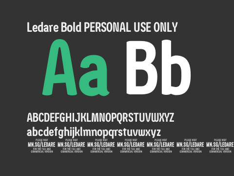 Ledare Bold PERSONAL USE ONLY