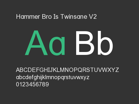 Hammer Bro Is Twinsane V2