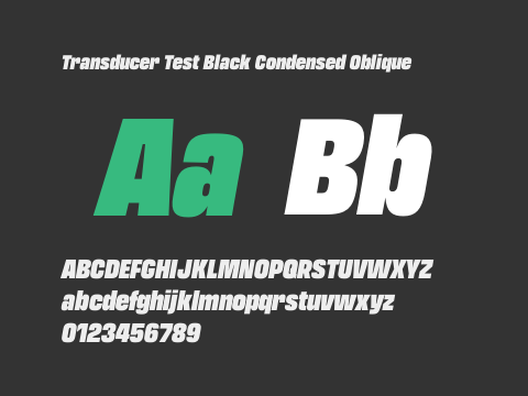 Transducer Test Black Condensed Oblique