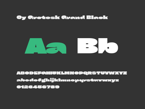 Cy Grotesk Grand Black