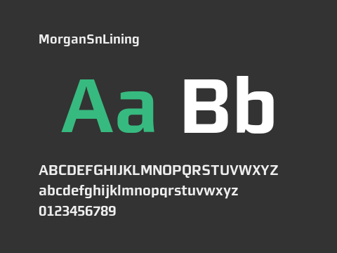 MorganSnLining