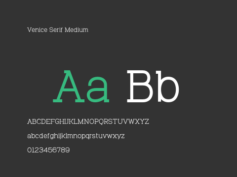 Venice Serif Medium