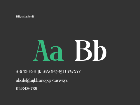 Bilgosia Serif