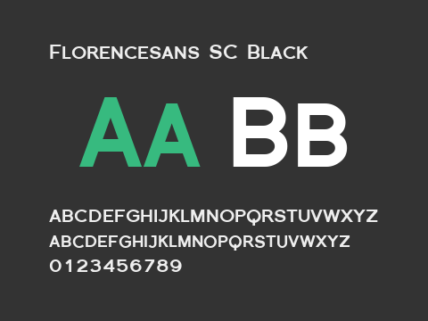 Florencesans SC Black