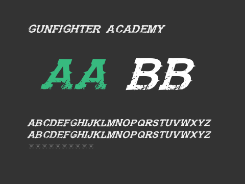 Gunfighter Academy