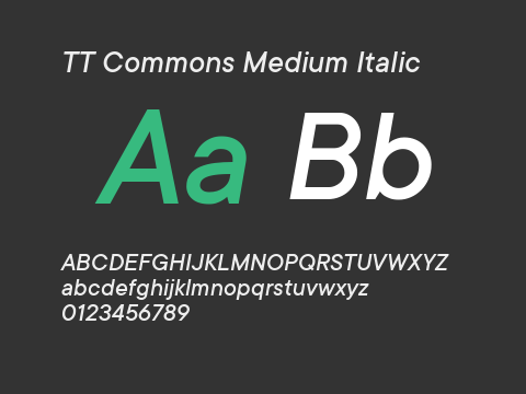 TT Commons Medium Italic