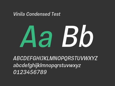 Vinila Condensed Test