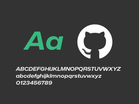 Mona-Sans Wide Italic