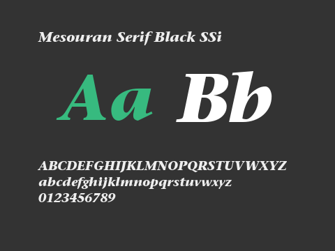 Mesouran Serif Black SSi