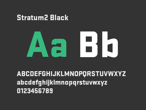 Stratum2 Black