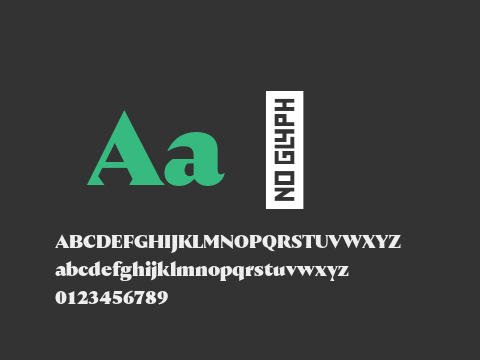 Nocturne Serif Test Black