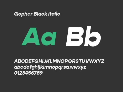 Gopher Black Italic