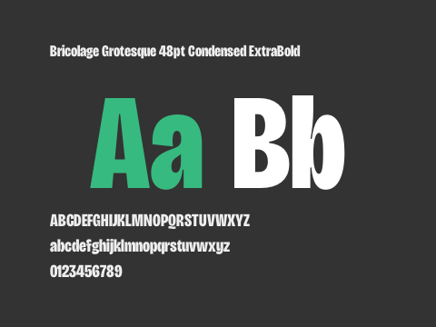 Bricolage Grotesque 48pt Condensed ExtraBold