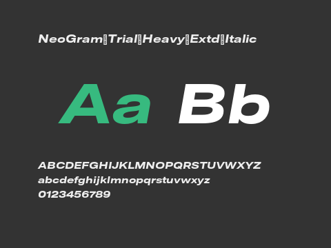 NeoGram Trial Heavy Extd Italic