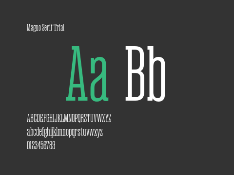 Magno Serif Trial