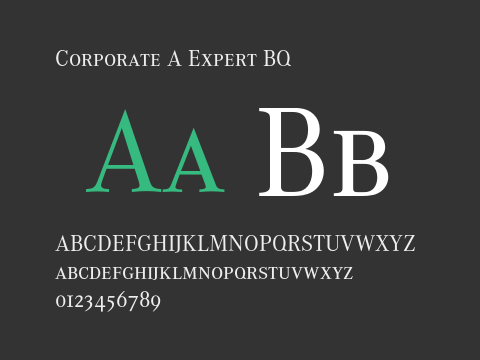 Corporate A Expert BQ