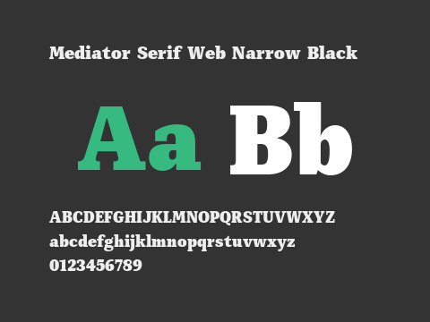 Mediator Serif Web Narrow Black