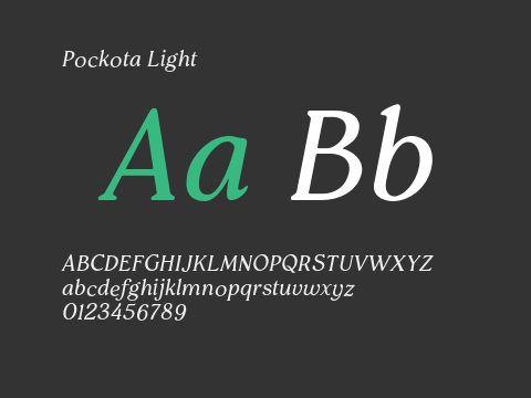 Pockota Light