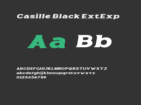 Casille Black ExtExp