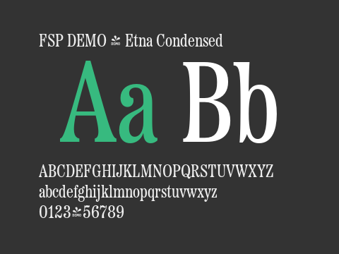 FSP DEMO - Etna Condensed