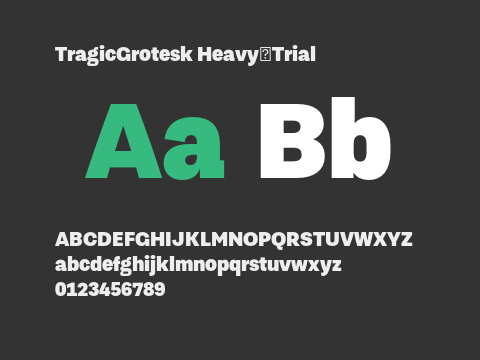 TragicGrotesk Heavy-Trial