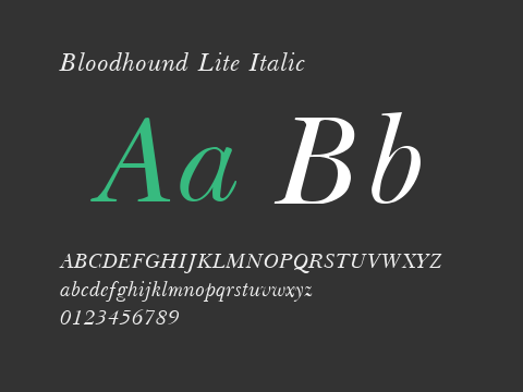 Bloodhound Lite Italic