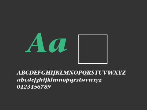 ITCStoneSerif