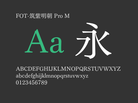 FOT-筑紫明朝 Pro M