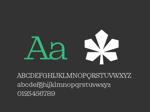 KyivType Serif2