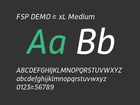 FSP DEMO - xL Medium