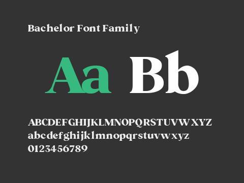 Bachelor Font Family