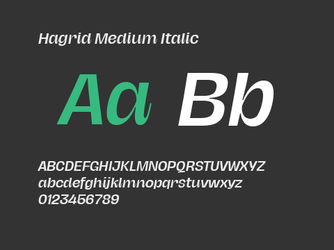 Hagrid Medium Italic