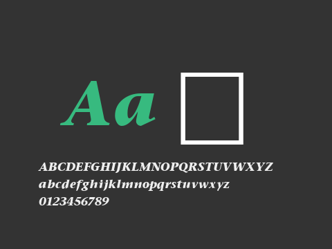 Stone Serif