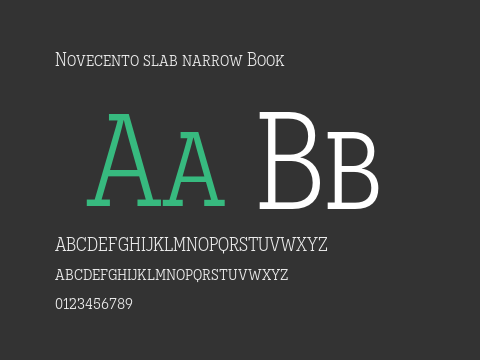 Novecento slab narrow Book