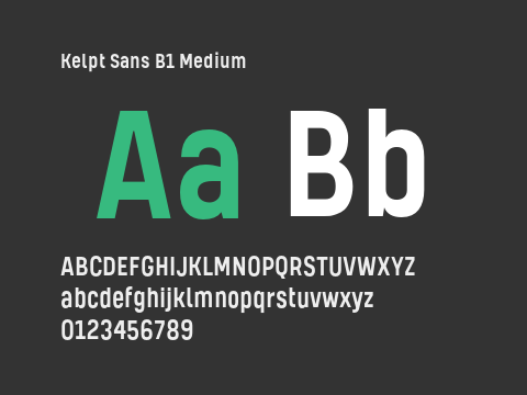 Kelpt Sans B1 Medium