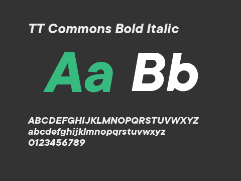 TT Commons Bold Italic