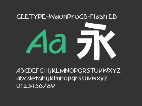 GEETYPE-WaonProGB-Flash EB